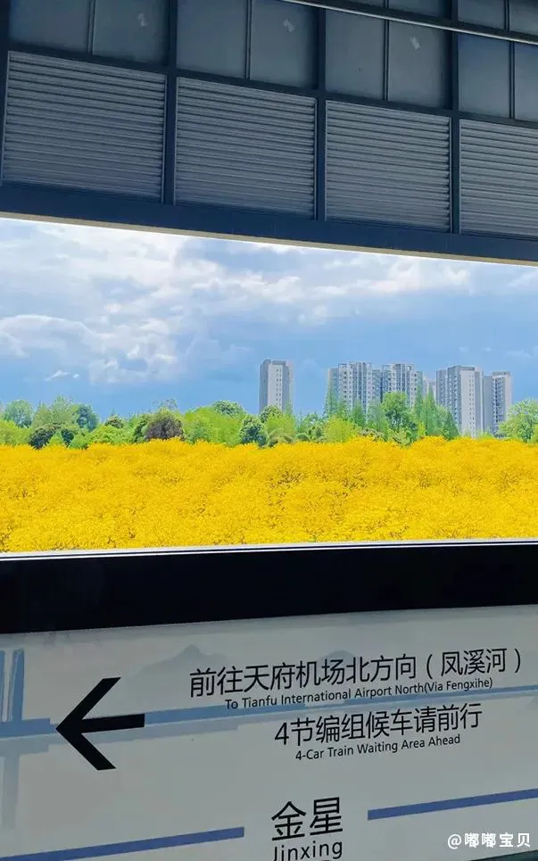 篮球训练专业术语英语怎么说呢_1